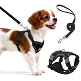 Arnés Ychpaw para perro pequeño con malla reflectante para paseos seguros.