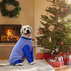 Yeapeeto Dog Onesie alternativa al cono para comer y moverse con comodidad.