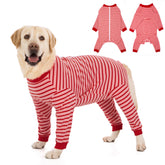 Yeapeeto Recovery Suit cubre todo el cuerpo del perro para mayor comodidad.