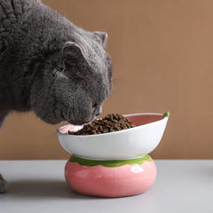 Yeexoxow tazón cerámico ergonómico 15 grados, mejora la postura al comer.
