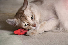 Yeowww! Catnip Crayon, colores brillantes invitan a interacción y creatividad felina.