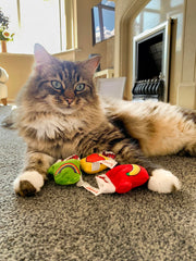 Yeowww! Kit de mitones para gatitos con hierba gatera para juego vespertino