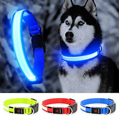YFbrite collar led para perro ajustable azul, visible en paseos nocturnos