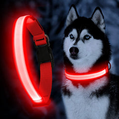 YFbrite collar LED ultra ligero rojo, ajuste cómodo para perros.