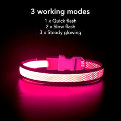 YFbrite collar-luz-perro-rosa-hebilla-ajuste ofrece ajuste seguro y cómodo.