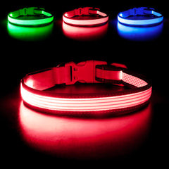 Collar YFbrite con luz total mejora la visibilidad nocturna durante paseos.