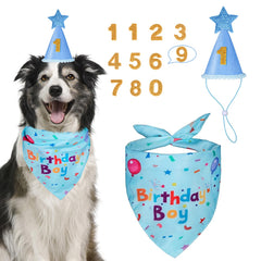 Gorro de cumpleaños para perro Yicostar, enfoque en números para fotos festivas.