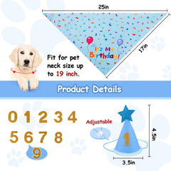 Sombrero de cumpleaños de Yicostar para perros, ajuste cómodo para fiestas y sesiones de fotos.