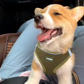 YIMEIS arnés perro malla aire verde army X-Small para paseos diarios