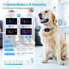 Yipilu rechargeable battery powers long-lasting training sessions.