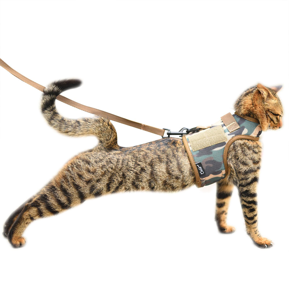 Arnés Yizhi Miaow para gato ajustable en malla, paseo cómodo.