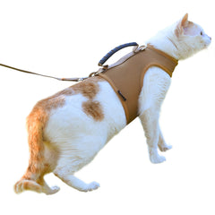 Arnés YIZHI MIAOW para gatos; ajuste cómodo para paseos seguros.