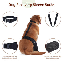Calcetines Yoneba para perros duraderos con bordes resistentes.