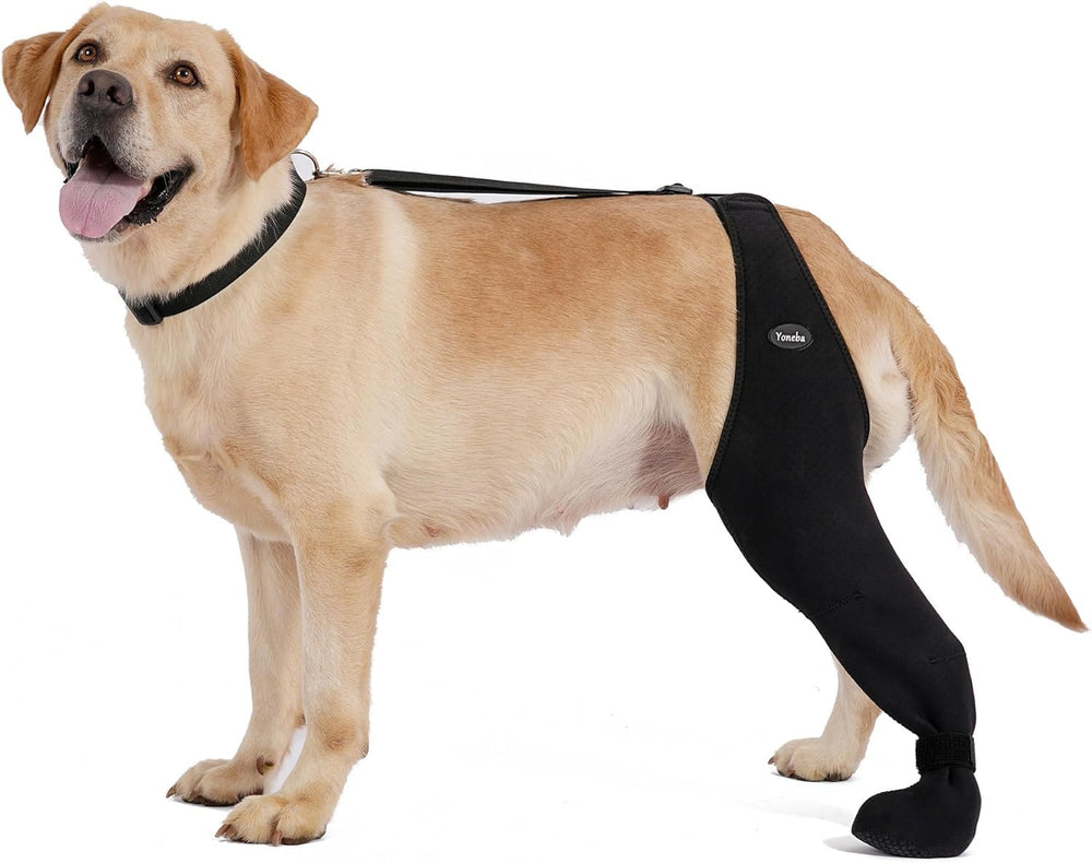 Calcetines Yoneba para perros evitan lamer patitas y protegen la piel