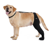 Calcetines Yoneba para perros previenen lamer patas y brindan comodidad diaria.