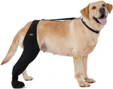 Calcetines para perros Yoneba, tejido transpirable para evitar lamidos
