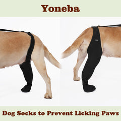 Manga transpirable Yoneba para perros: confort diario y secado rápido.