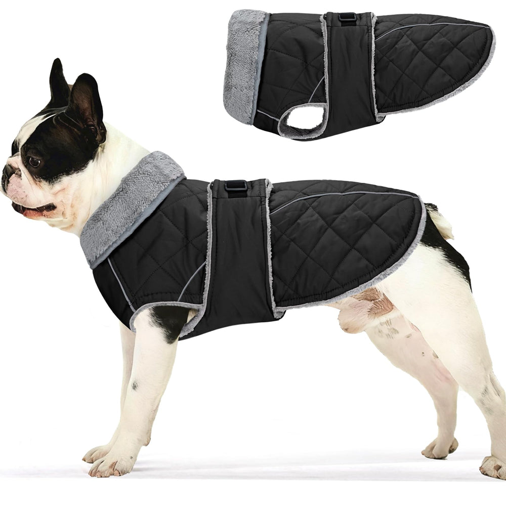 Yoochee abrigo para perro: exterior impermeable para paseos bajo lluvia