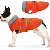 Chubasquero Yoochee para perro con forro impermeable, manteniendo seco y cálido.