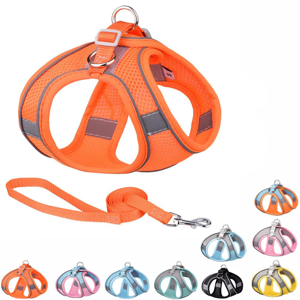 YOUALSO arnés naranja para perro en paseo cómodo sin tirones.