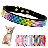 YOUALSO collar con cristales diamante para perros pequeños: brillo en cada paseo.