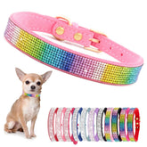 YOUALSO collar de diamantes rosa para perros pequeños, brillo destacado