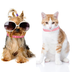 YOUALSO hebilla ajustable en collar rosa, seguridad y comodidad para tu mascota.