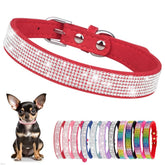 YOUALSO collar de perro con cristales brillantes para lucir en paseos