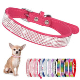 YOUALSO collar perro incrustaciones rosa para paseos brillantes