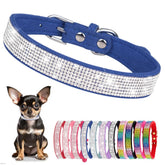 YOUALSO collar de strass para perros pequeños azul brillando bajo la luz