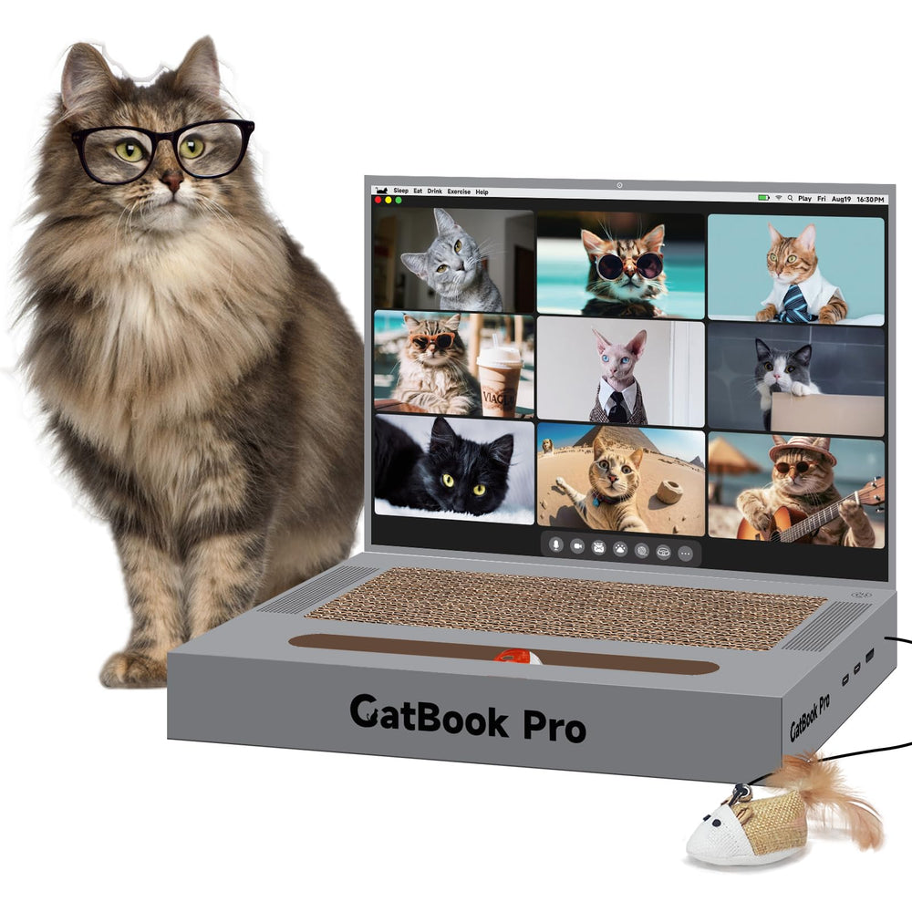 YOUXIFUN portatil rascador para gatos, entretenimiento seguro en casa.