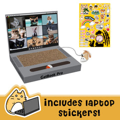 YOUXIFUN raton-sonoro incluido, estímulo interactivo que captura la curiosidad felina.