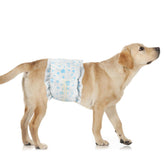 Pañales Ypfyed para perro macho 96-paquete: absorbentes para entrenamiento diario.