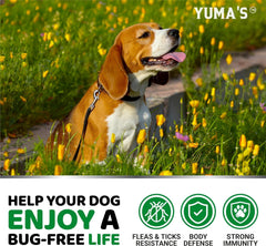 YUMA'S tabletas masticables suaves para todas las razas y edades de perros.