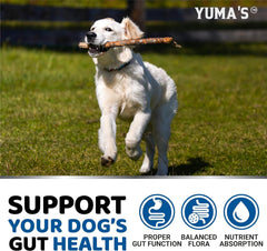 YUMA'S probióticos para perros, pastillas en frasco para uso diario