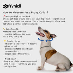 Yvnicll collar de púas en acero inoxidable para mayor durabilidad