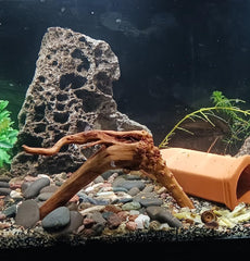 YZHZOM: diseño único de madera flotante para acuario, añade encanto natural y textura.