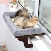 Zakkart percha para gato en ventana con almohadón, descanso cómodo frente a la luz natural.
