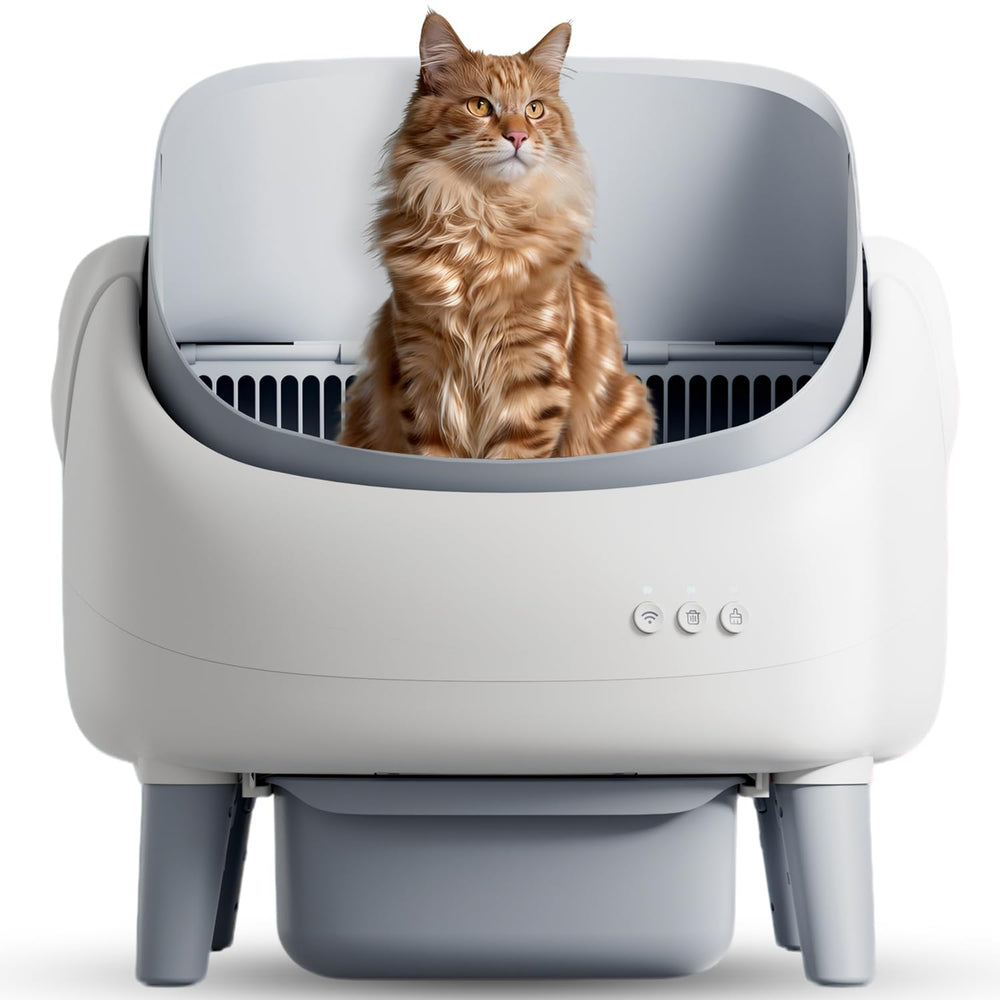 Zeacotio caja de arena abierta frontal para gatos
