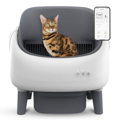 ZeaCotio caja de arena con apertura amplia facilita acceso cómodo para gatos grandes