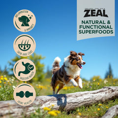 ZEAL curcuma-inflamacion-perro: cúrcuma para sabor y bienestar potencial