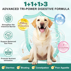 ZEBORA probióticos para perros mostrando 10 cepas y beneficios digestivos.
