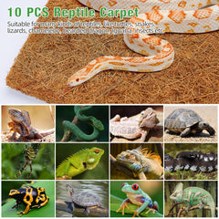 ZeeDix limpieza rápida desinfección del tapete reptil