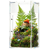 ZENWUKONG terrario acrílico: habitat mini para arañas, observación detallada durante la alimentación.