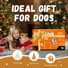 Zerbuger escaleras para perros con almacenamiento, fácil acceso a cama