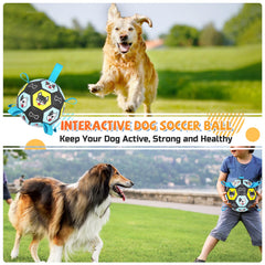 ZestPulse juego interactivo para perros con correas, facilita lanzar, recoger y entrenar.