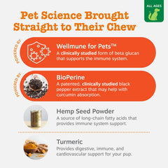 Zesty Paws aceite de salmón para la salud digestiva canina.