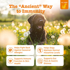Aceite de salmón de Zesty Paws con Omega 3 para pelaje saludable