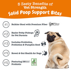 Bocados suaves de Zesty Paws con probióticos para la salud intestinal