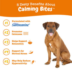 Calming Chews con Suntheanine para promover la calma natural en perros.